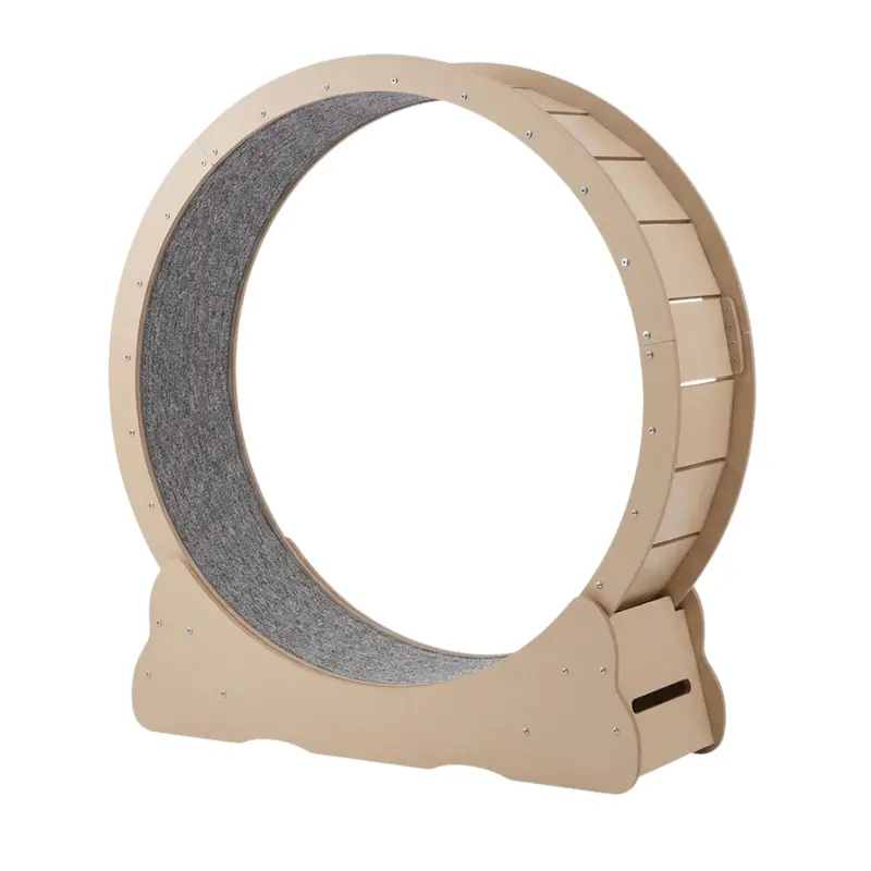 Quiet Indoor Cat Exercise Wheel with Locking Base and Detachable Carpeted Running Surface 4